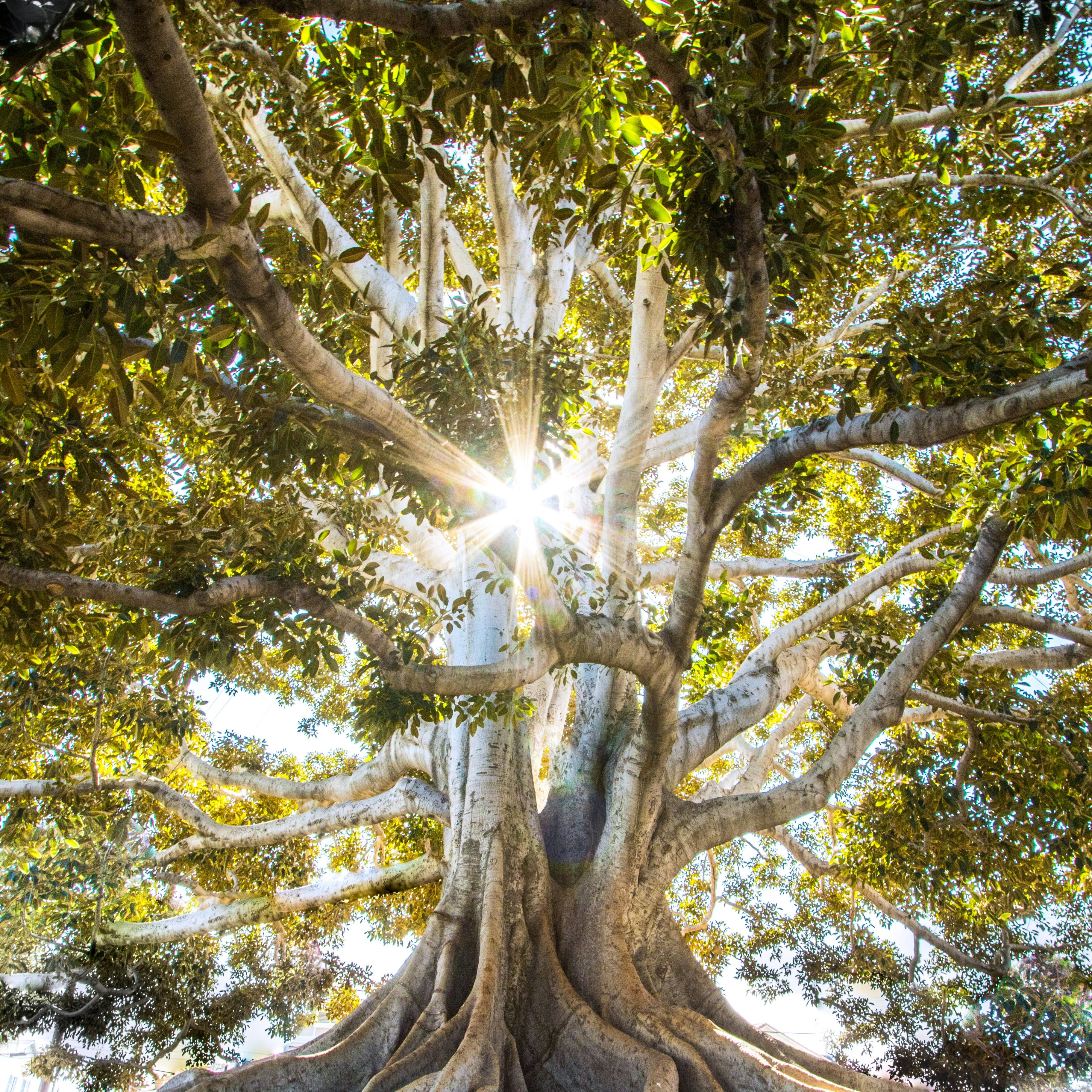 Descarga la guía de cosmética natural y sin tóxicos thumbnail