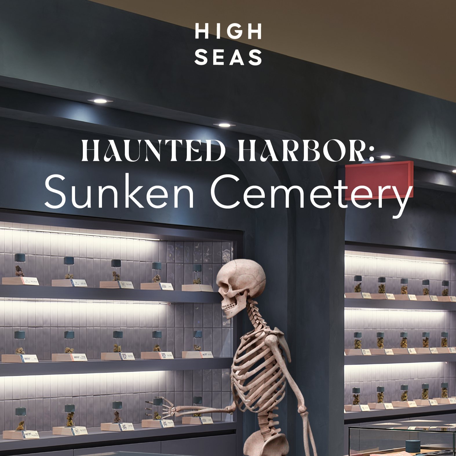 October at High Seas: Spooky Deals All Month Long thumbnail