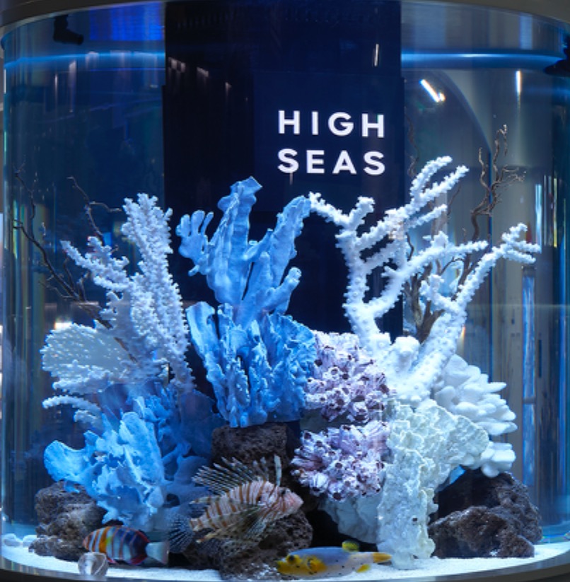 Curious About Our Aquariums? thumbnail