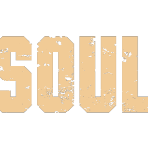 SOULCANVAS launch party! thumbnail