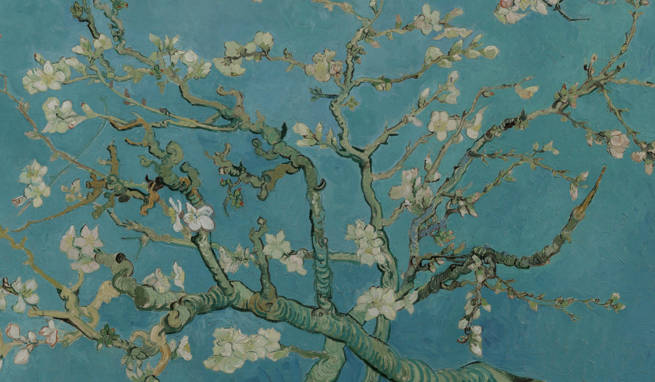 Celebrating the life & art of Vincent Van Gogh thumbnail
