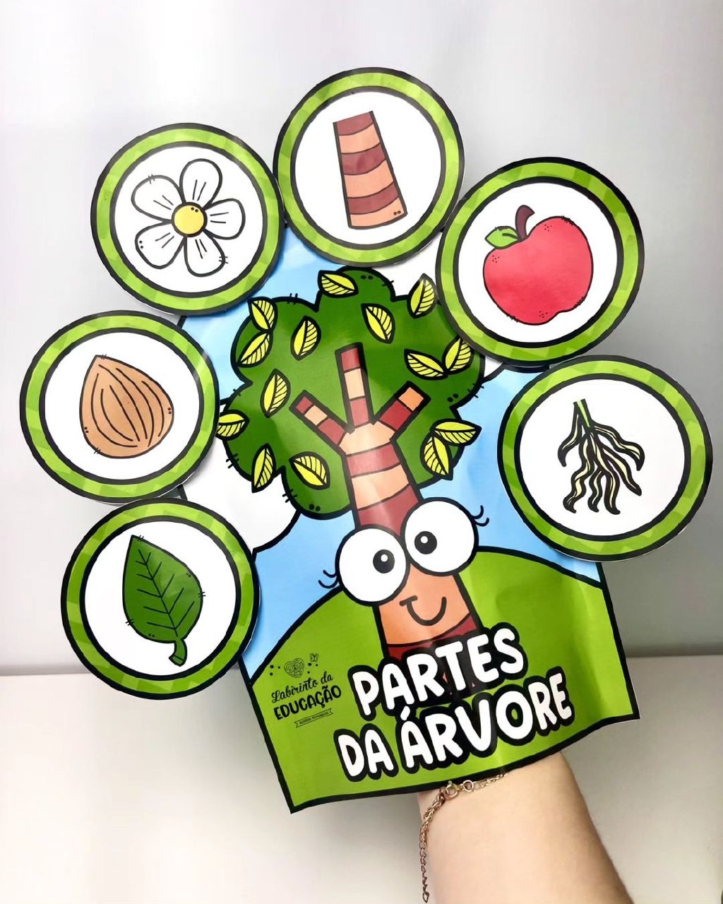 LUVA AS PARTES DA ÁRVORE thumbnail