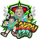 LINK RTP thumbnail