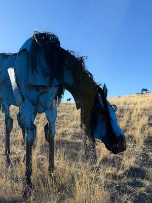 Montana isn’t just cowboys and open roads - it’s artists, dreamers, and unexpected magic tucked into the mountains. Just