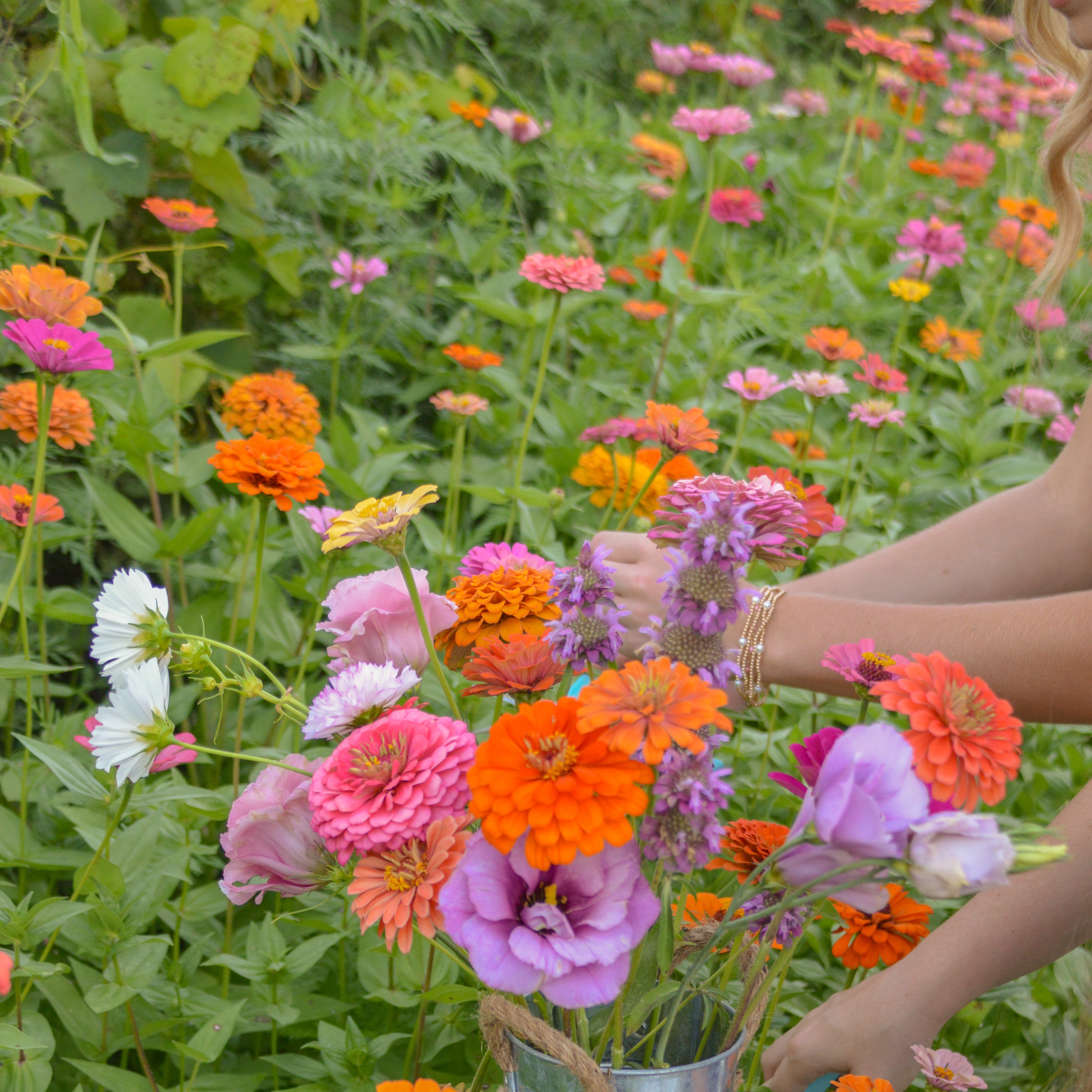 Cutting Field Hours — Heap Acres thumbnail