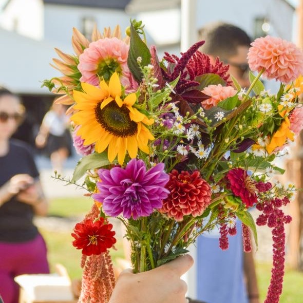 Bloom Days At Heap Acres thumbnail