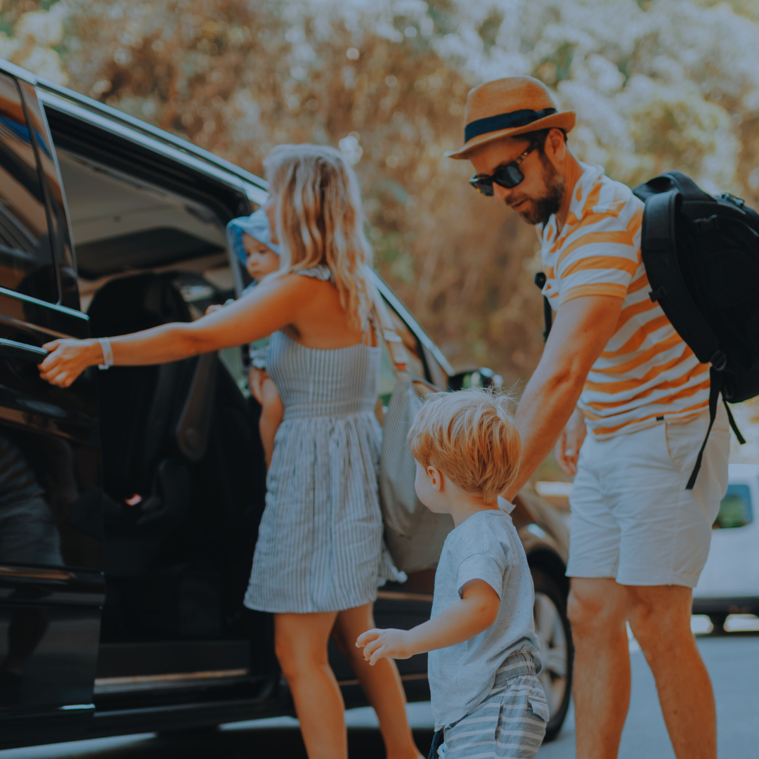 WEBSITE PT thumbnail