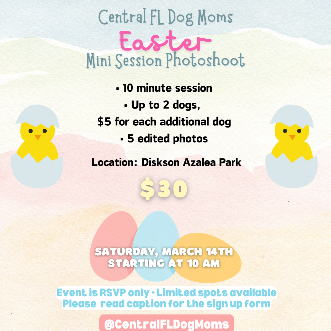 CFLDM Easter Photoshoot RSVP Form thumbnail