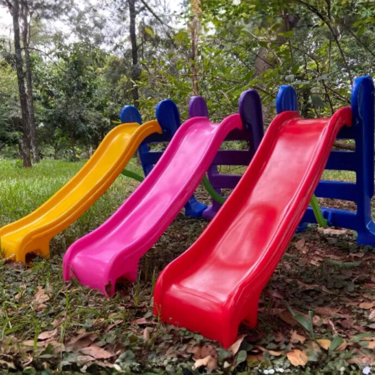 ESCORREGADORES thumbnail