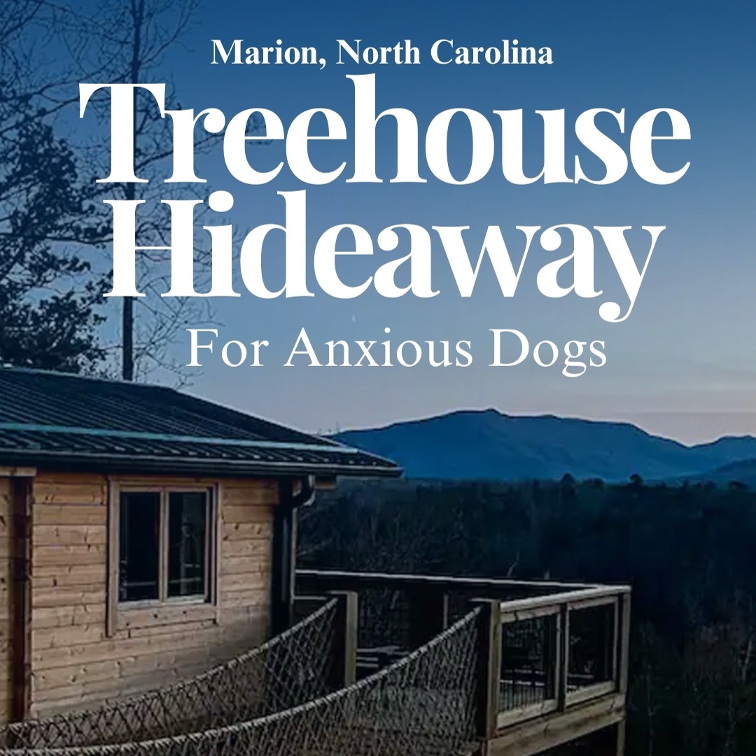 Treehouse in Marion North Carolina thumbnail