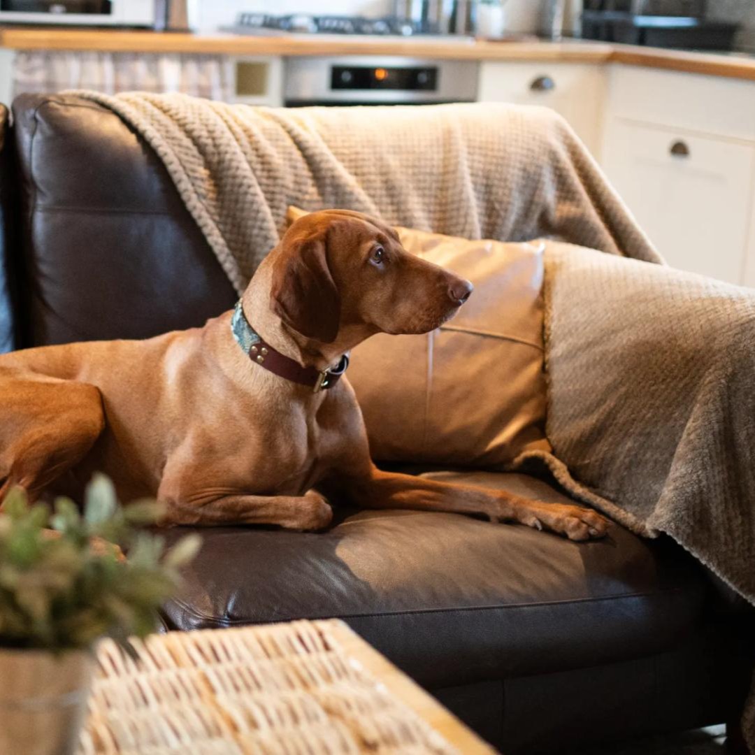 The Hay Barn -  Sleeps 6 thumbnail