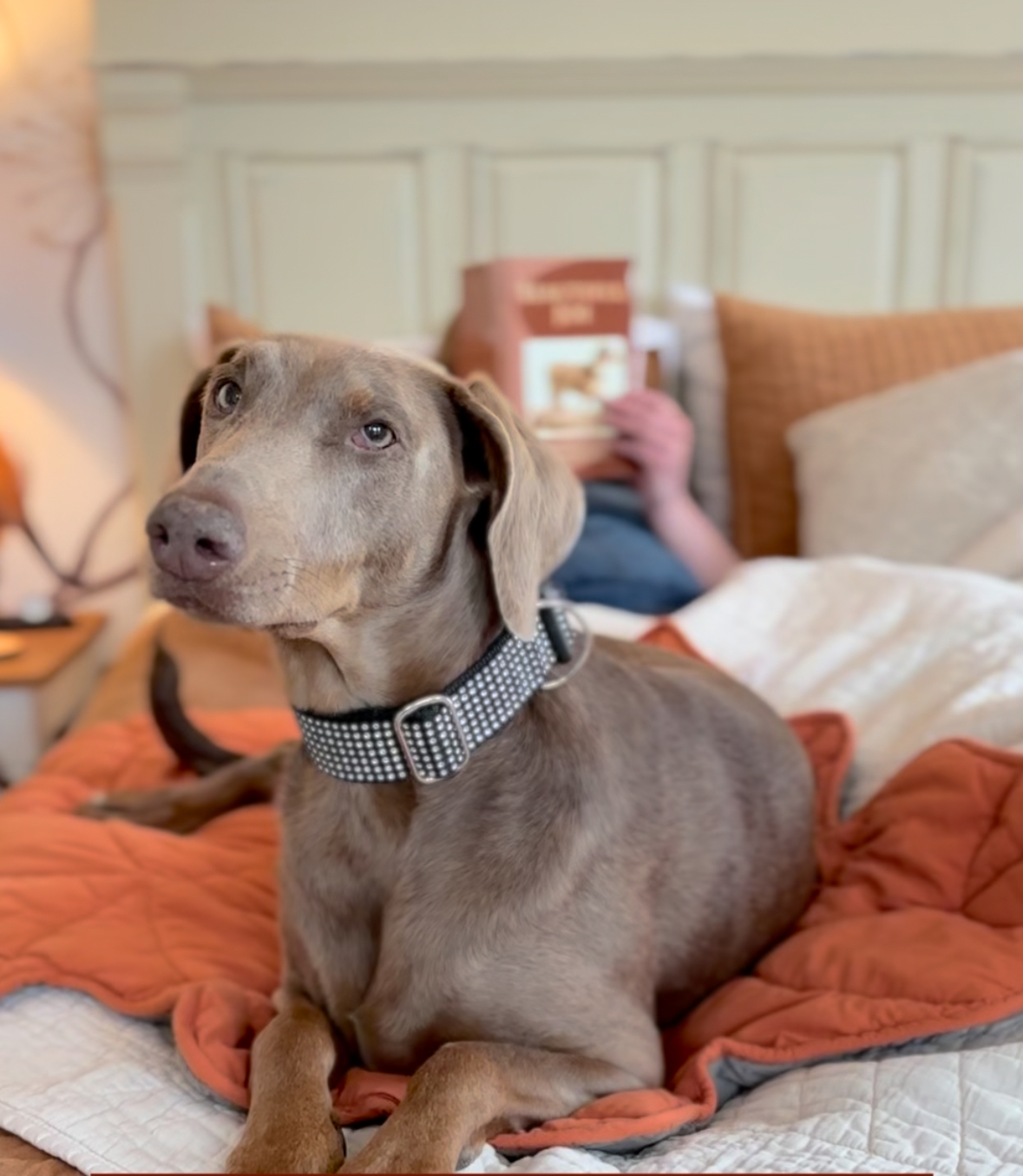 The Farmers House Ontario, Canada thumbnail