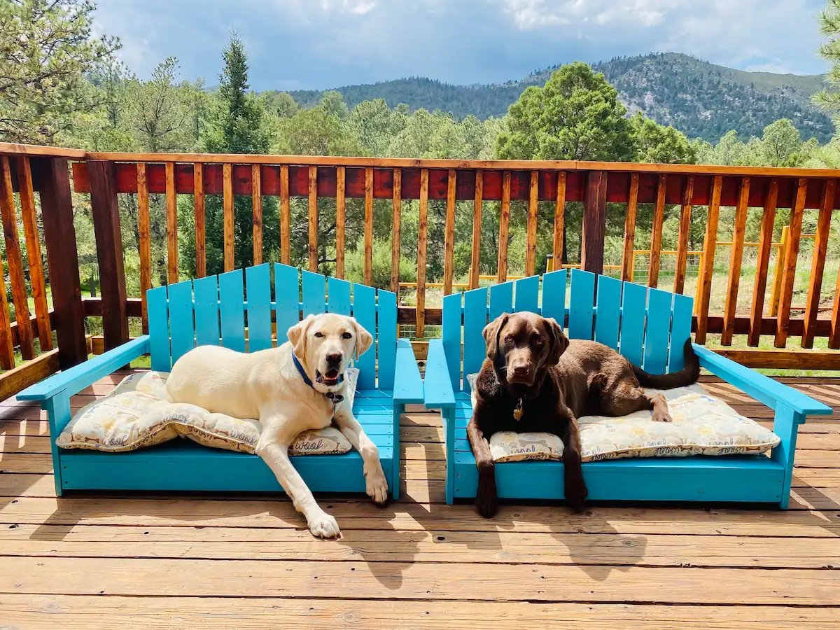 Lazy Pines , New Mexico thumbnail