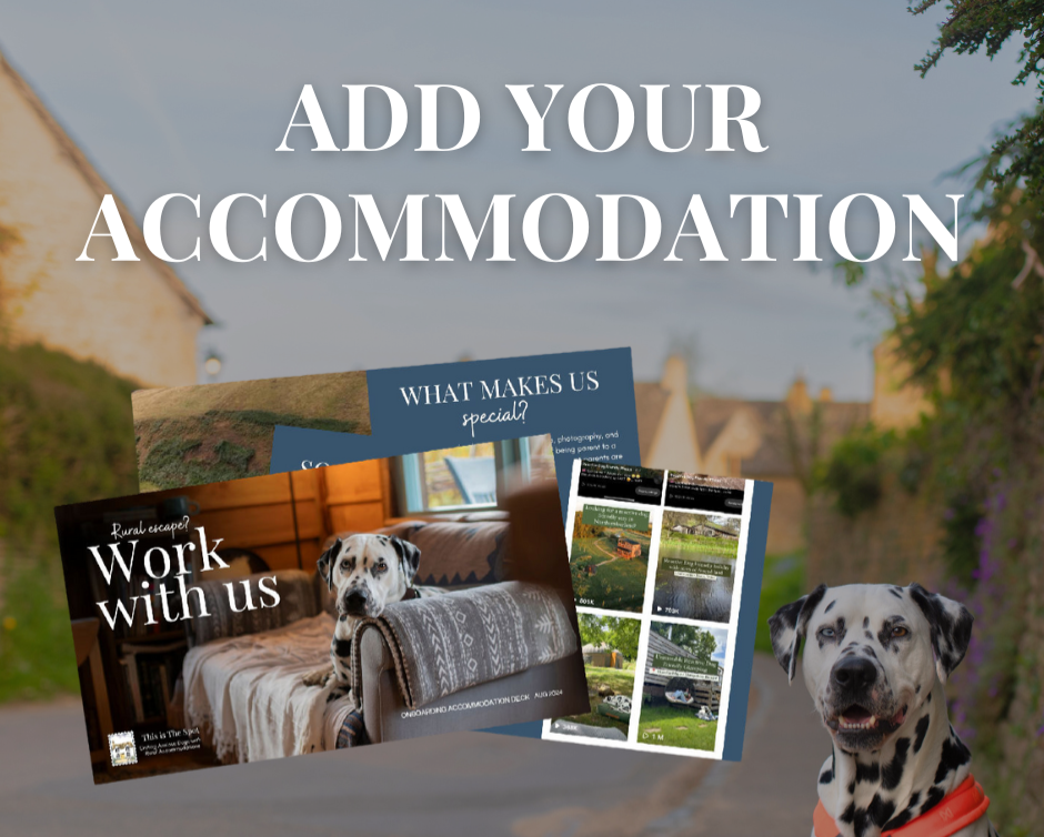 Join the leading platform connecting anxious dog parents with rural escapes. thumbnail