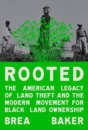 PURCHASE ROOTED BY BREA BAKER thumbnail