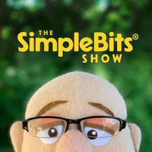 The Simple Bits: Make What You Want thumbnail