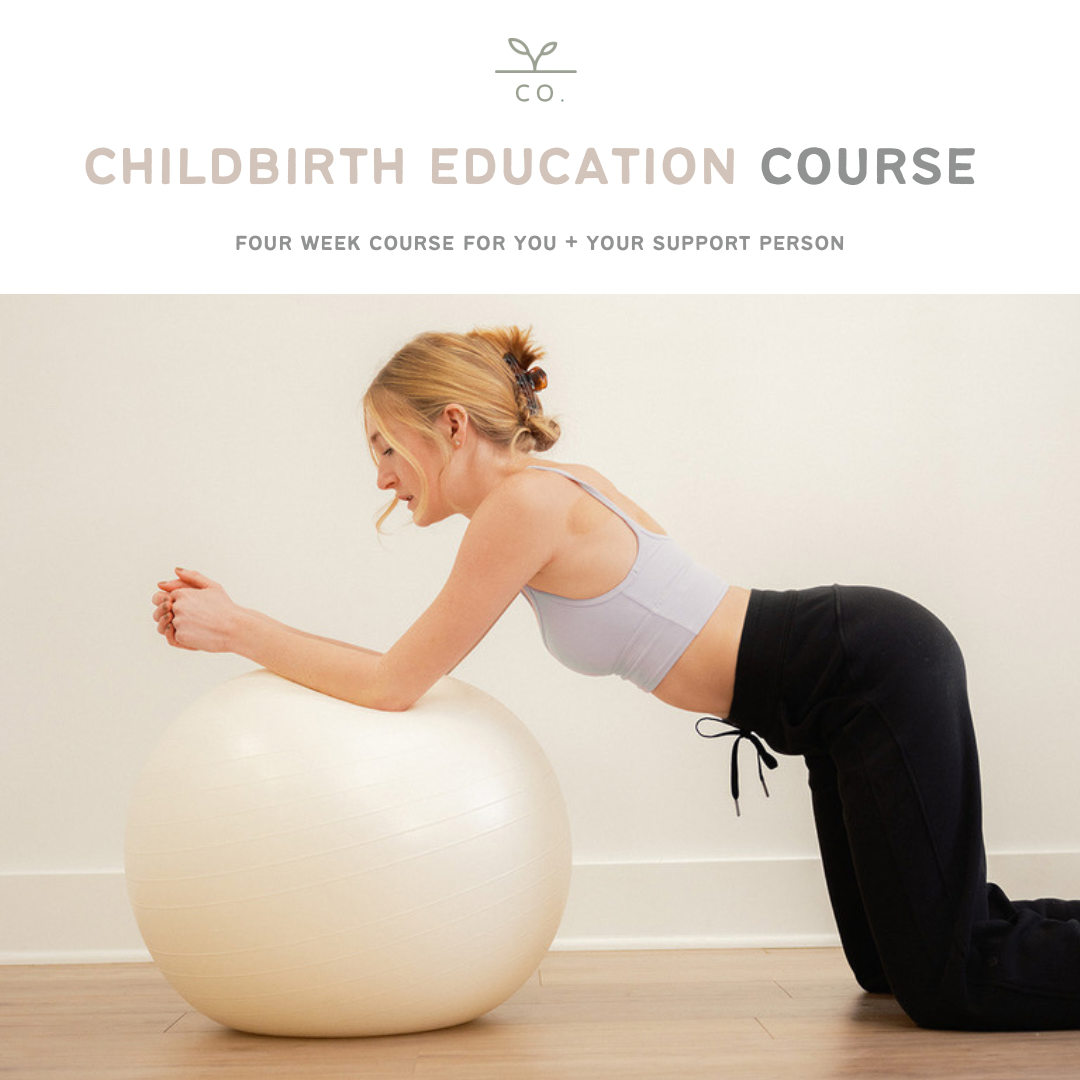 Childbirth Education Course | Nov 9-10 thumbnail