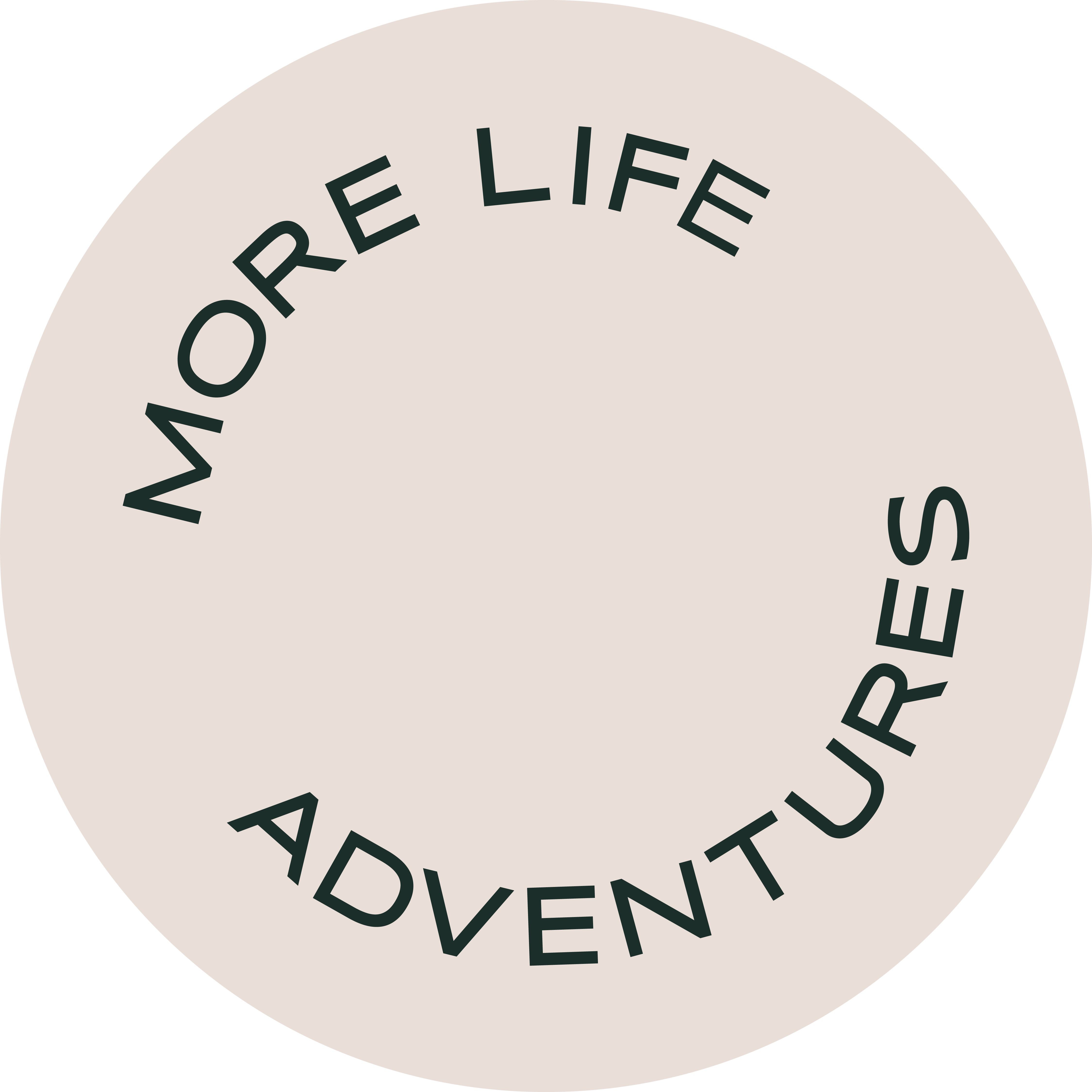 More Life Adventures — Bio Site