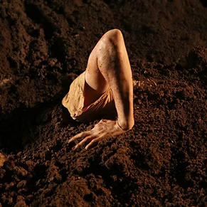 Performer en Shahar Dor Company thumbnail