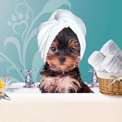 Banhos - A Partir de thumbnail