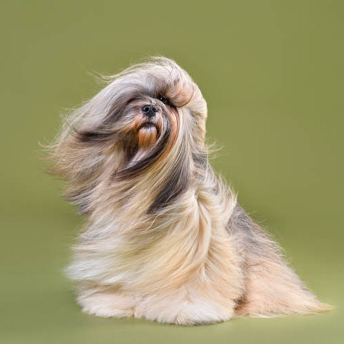 Hidratação de Argan - A partir de thumbnail