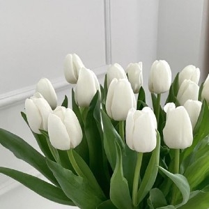 Falar com o estúdio  thumbnail