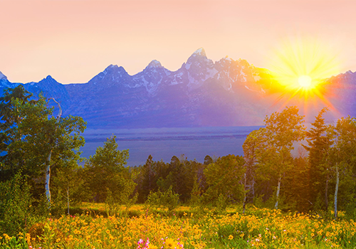 Donate to National Park Foundation thumbnail