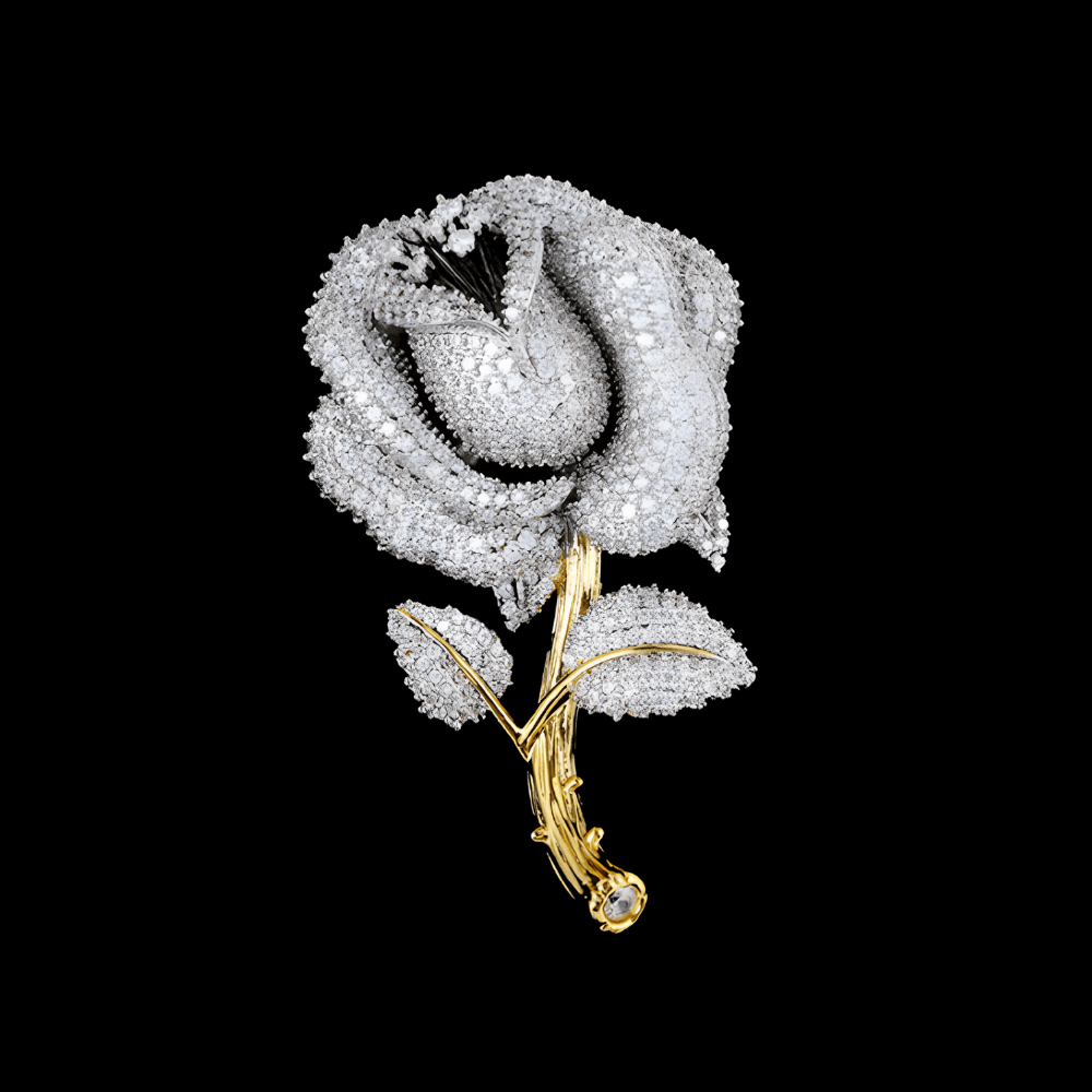 AVELIA Rose Collection thumbnail