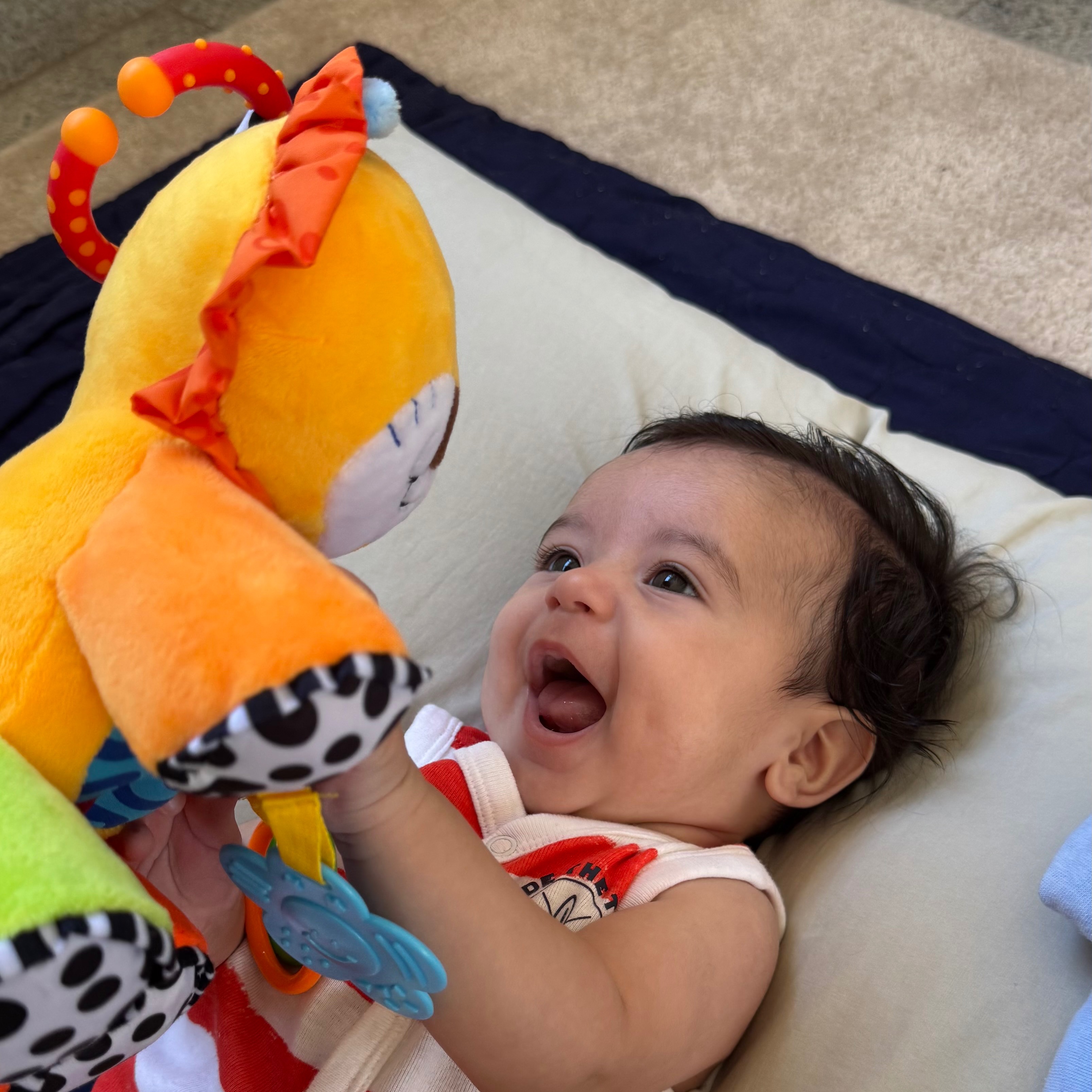 Brinquedos 🧸  thumbnail