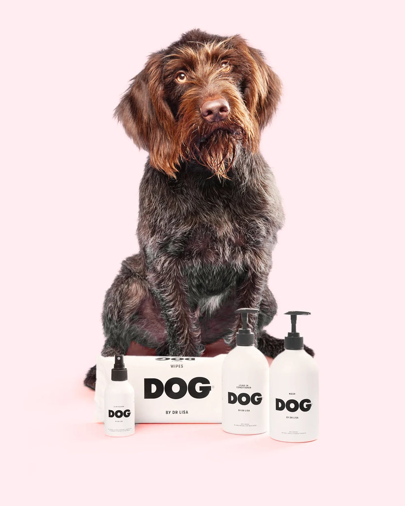 DOG by Dr Lisa | CEDAR15 thumbnail