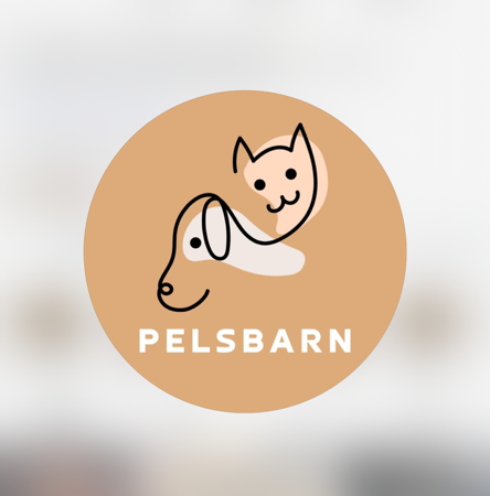 Pelsbarn Backseat Car Hammock | CEDAR10  thumbnail