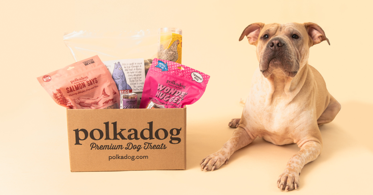Polkadog | CEDAR thumbnail