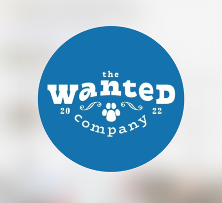 The Wanted Company: Enrichment Products for Rescue Dogs | CEDAR15 thumbnail