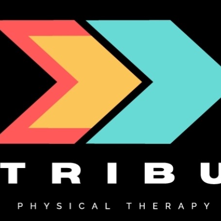 TRIBU Physical Therapy thumbnail