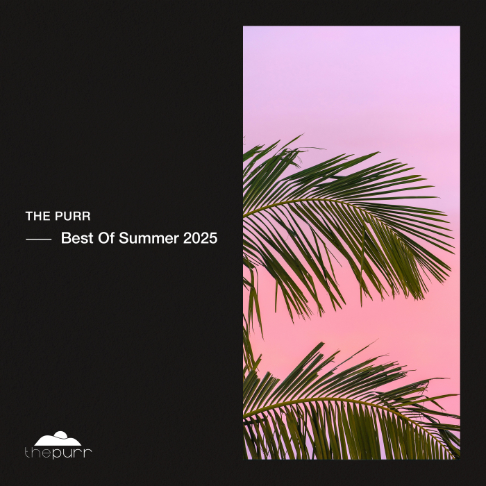 Best Of Summer 2025 thumbnail