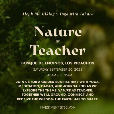 Nature as Teacher: Bio Hike + Yoga thumbnail