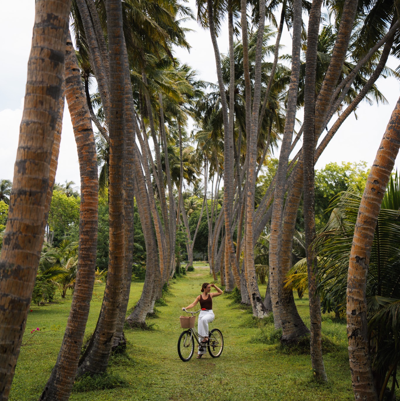 Villa Park Sun Island Resort thumbnail