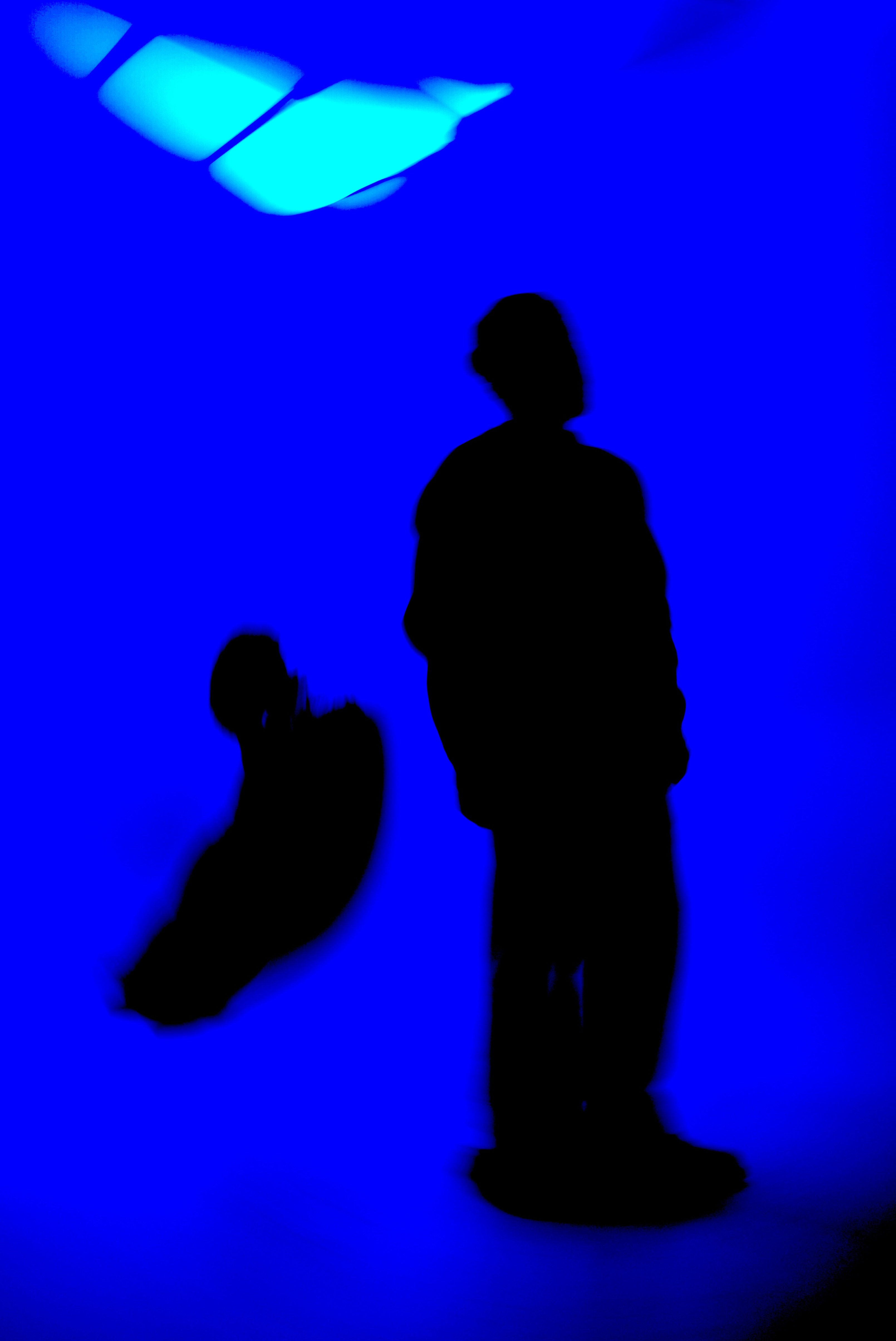 CHANCES thumbnail