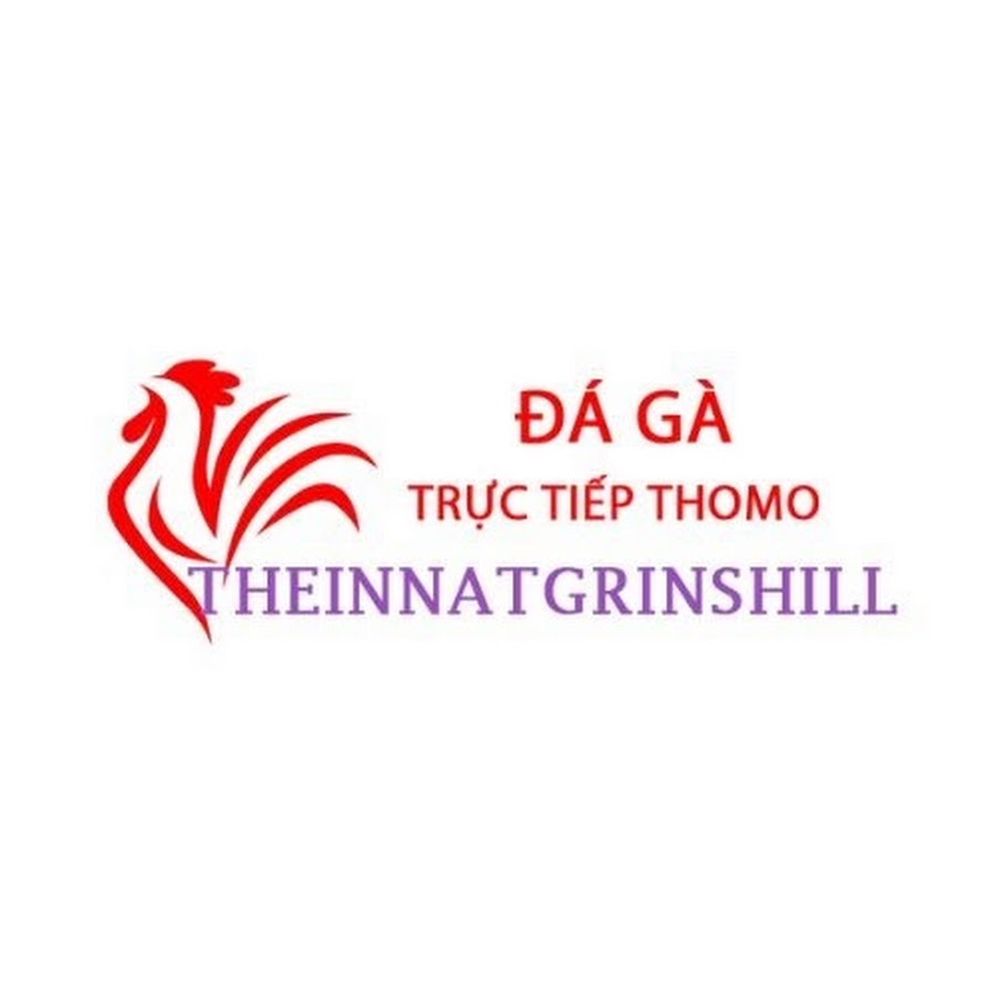Đá Gà Trực Tiếp Thomo thumbnail