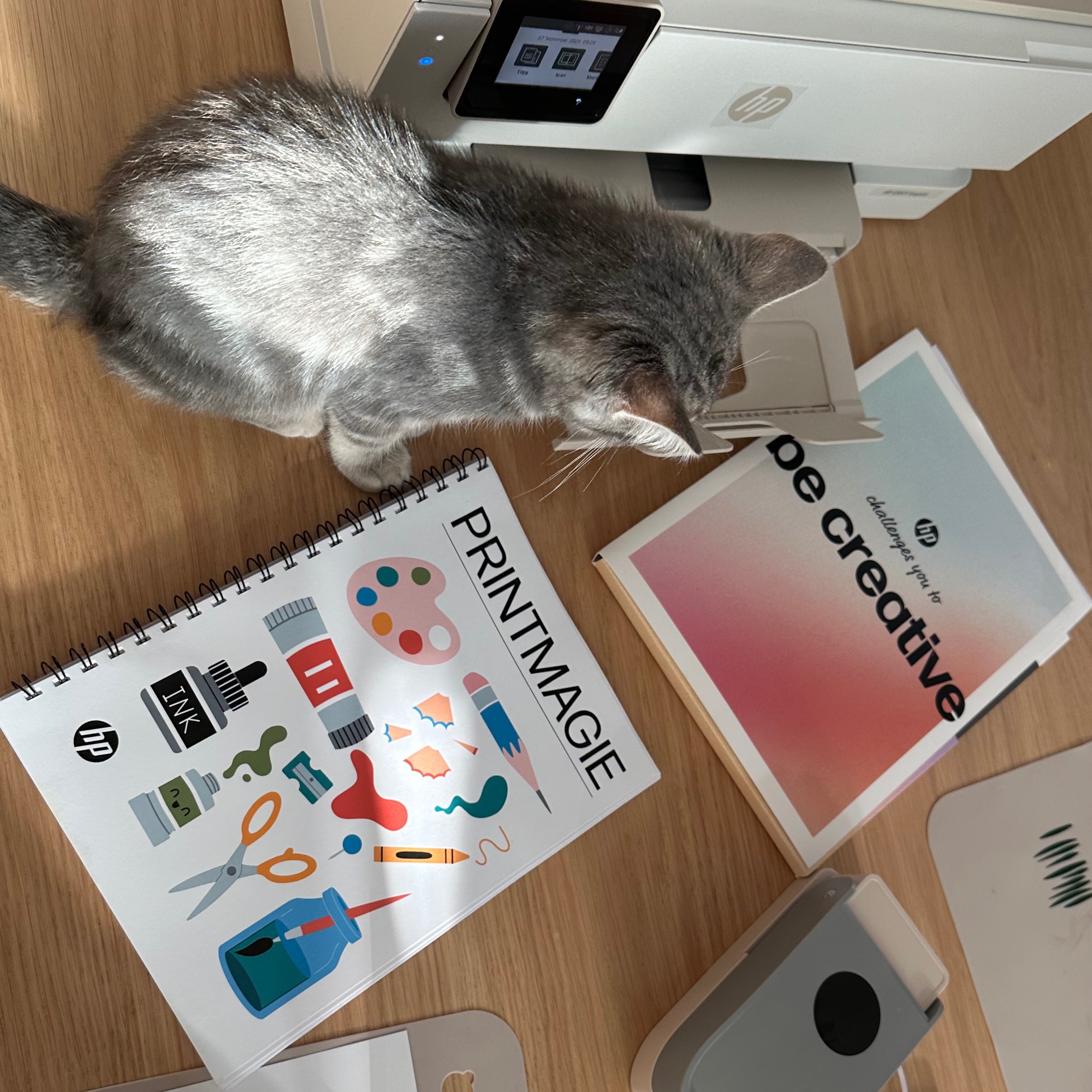 HP Booklet creative GRATIS ideeën en downloads thumbnail