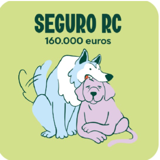 Seguro RC (Condiciones) thumbnail