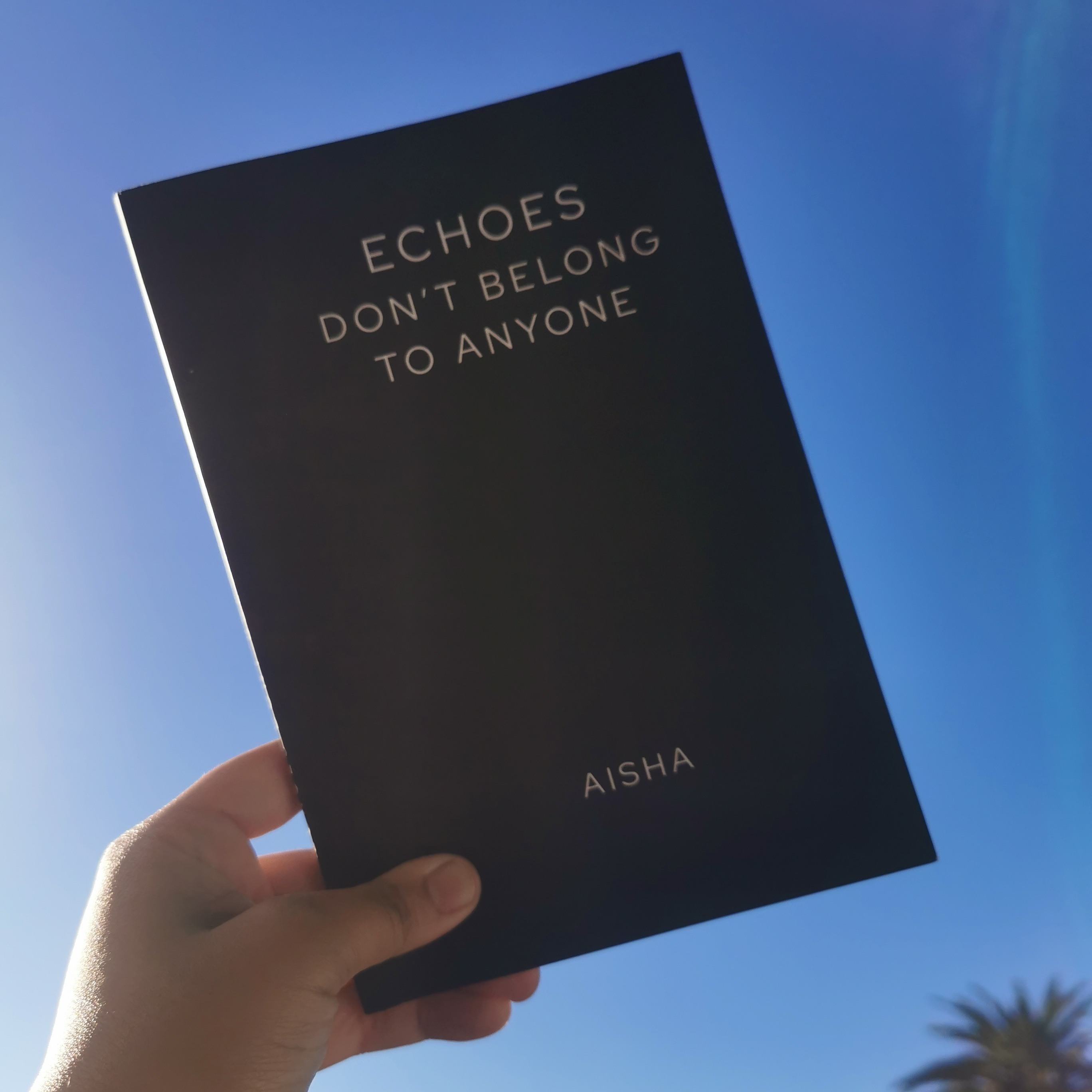 Echoes Don't Belong to Anyone (Poetry)  thumbnail