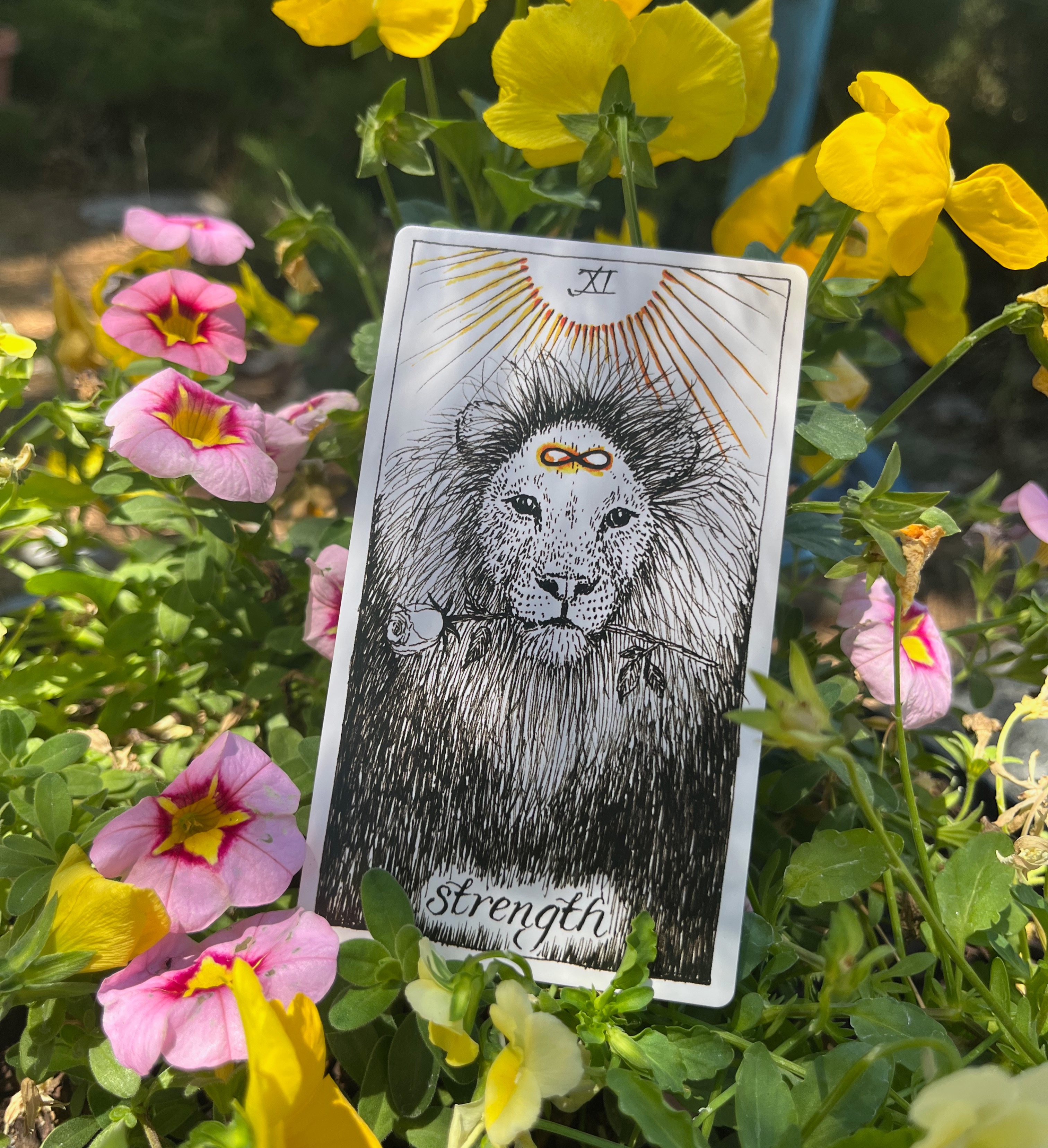  StormySkyCo | Tarot Photography 🔮 thumbnail