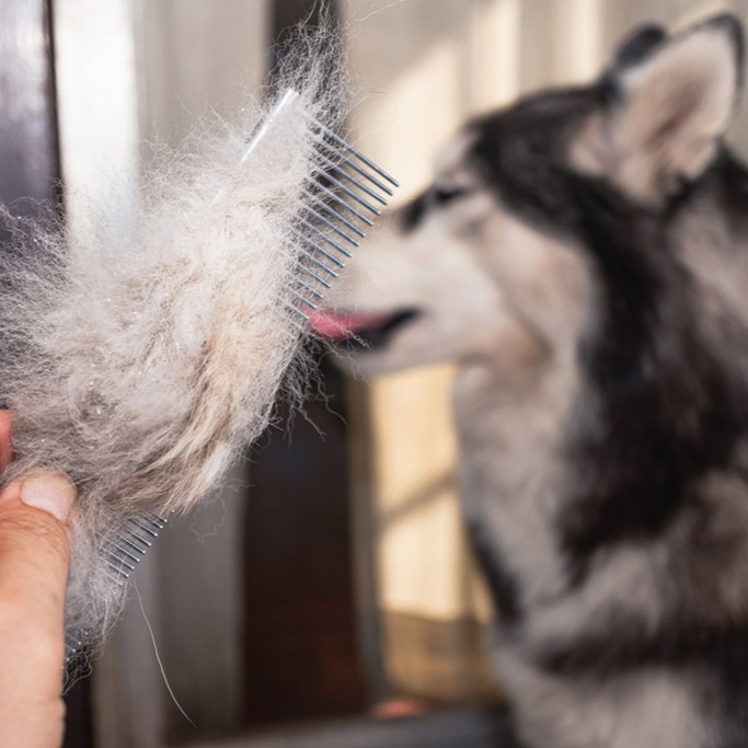 Desembolo - A partir de thumbnail