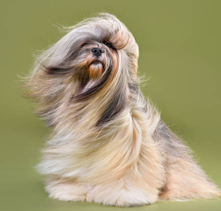 Hidratação profunda- A partir de thumbnail