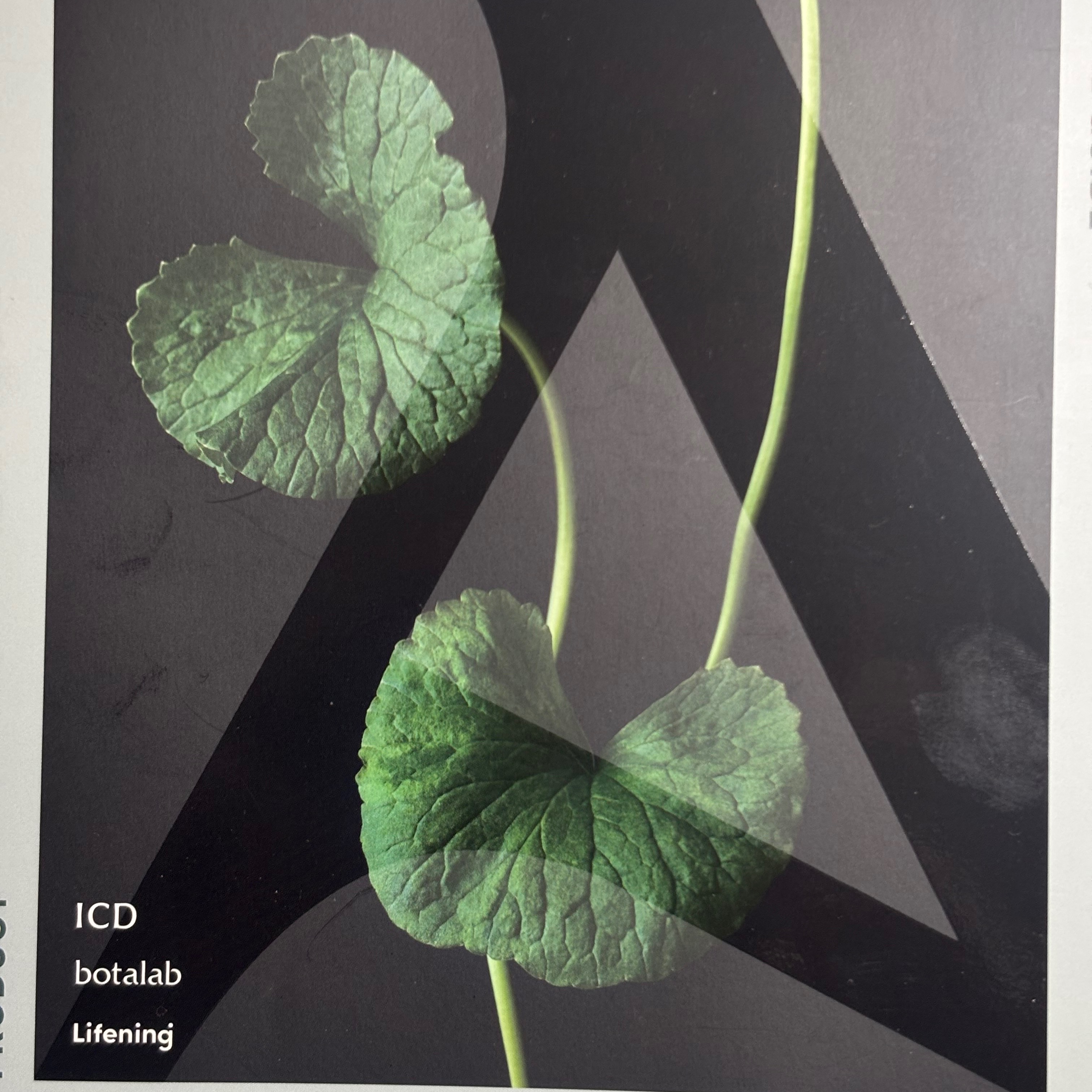 インセルダム正規代理店🇰🇷 thumbnail