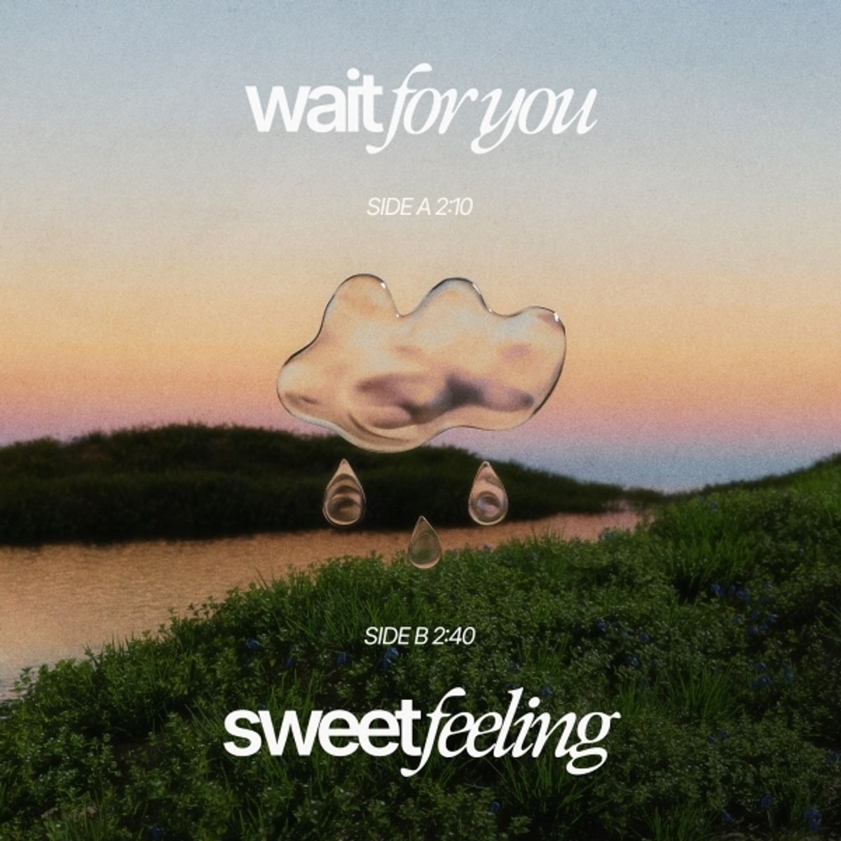 Wait For You / Sweet Feeling thumbnail