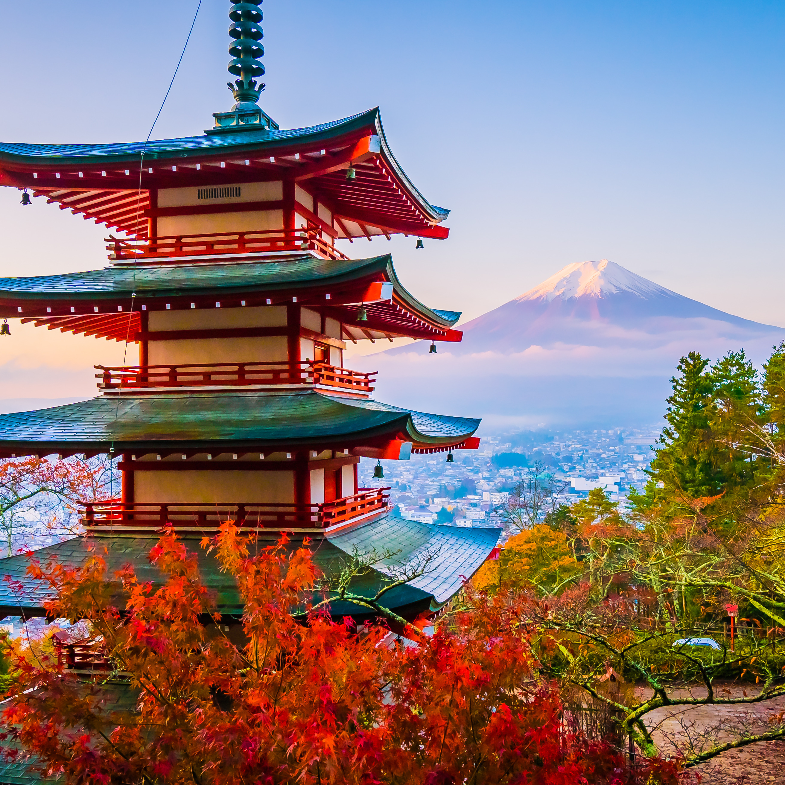 Japan Private Tour Guide thumbnail