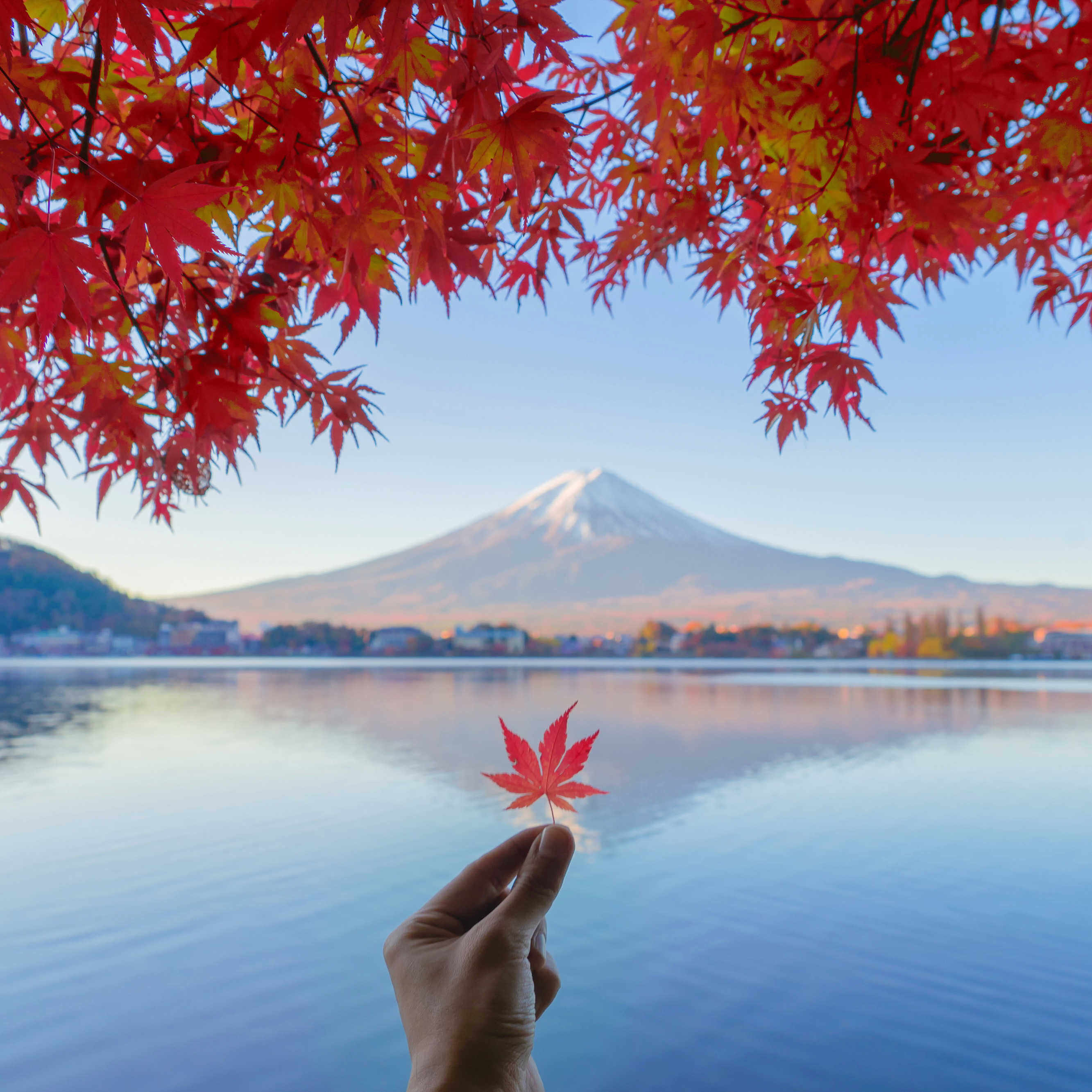 Traditional Experiences in Japan thumbnail