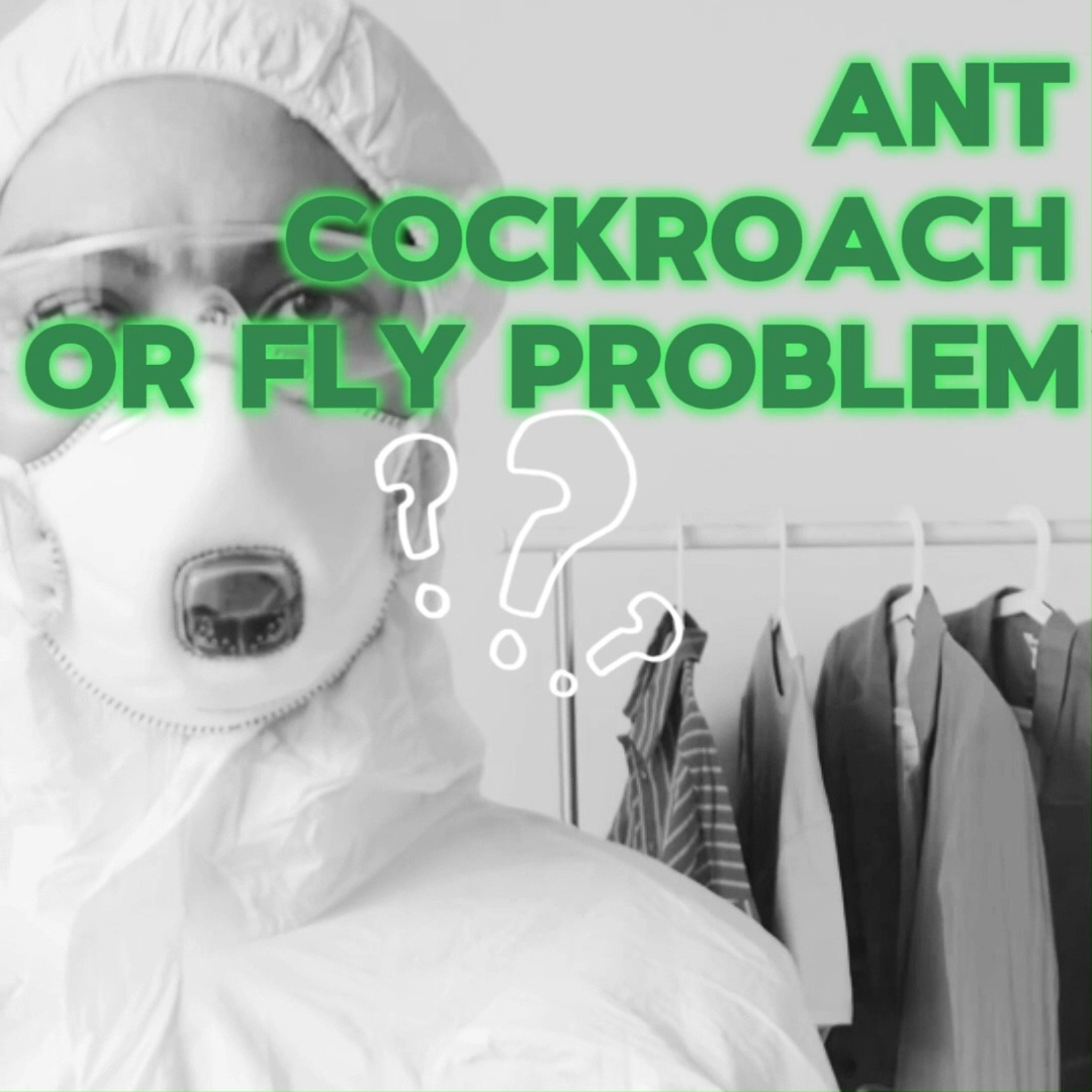 Pest control doesn't have to break the bank! Contact us today for a free consultation.
Click the link in our bio to lear